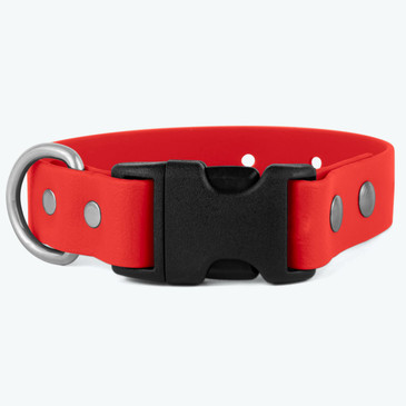 Waterproof dog collar with plastic quick release buckle Waterproof dog collar with plastic quick release buckle